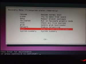 to access root shell in ubuntu