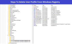 Read more about the article How to Delete User Profile From Windows Registry