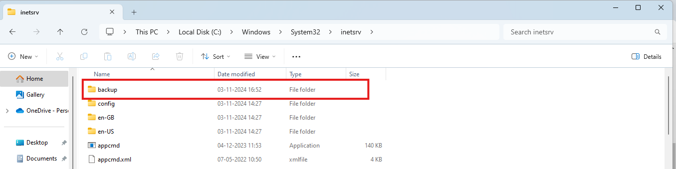 iis configuration copied and save in new server